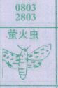 梦到萤火虫对应的排列五号码图示