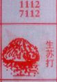 梦到生苏打对应的排列五号码图示